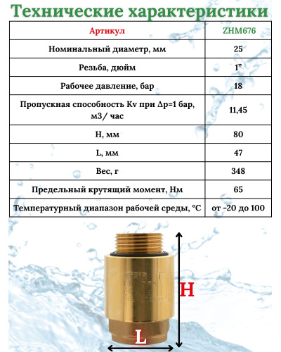 ZHM676 Обратный клапан 1 FxM (64/8шт), VIEIR